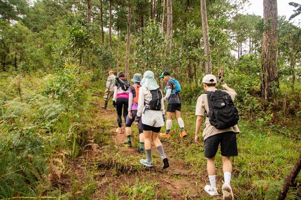 What are the best tips for a budget-friendly trip to the Scottish Highlands?